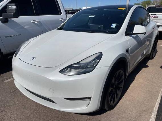TESLA MODEL Y 2021 5YJYGDEE2MF122523 image